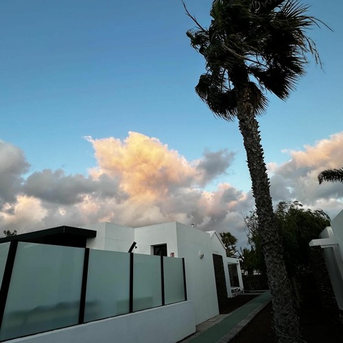 Palm Tree & Sky